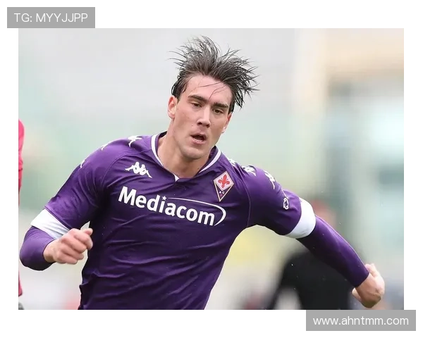 单箭头中锋困境：弗拉霍维奇的战术适配问题