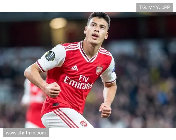 从新星到主力竞争者：马丁内利的成长与挑战