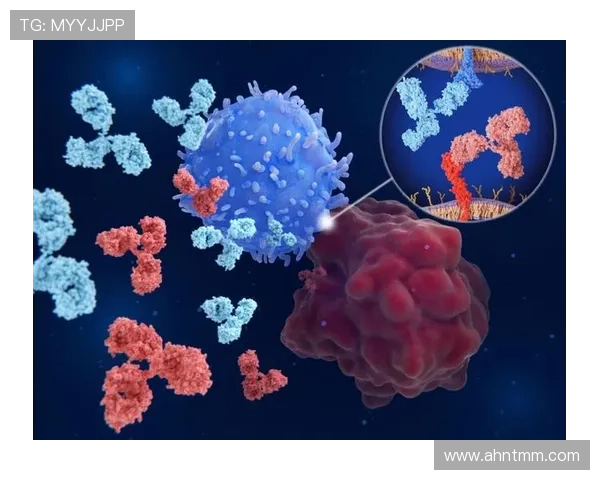 维尔茨:从组织核心到终结参与者的数据进化分析